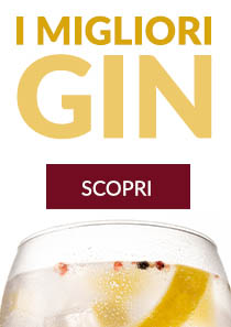 Selezione di gin