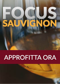 Sauvignon in offerta