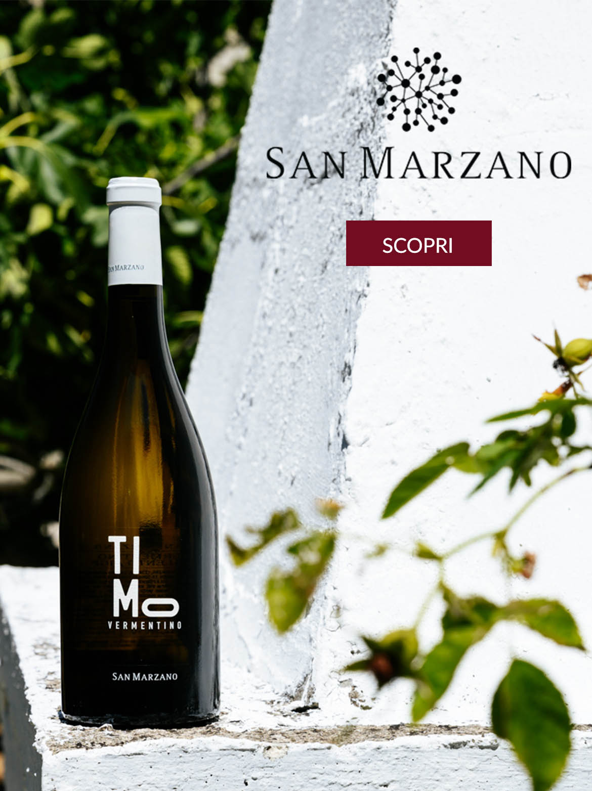 Cantine San Marzano