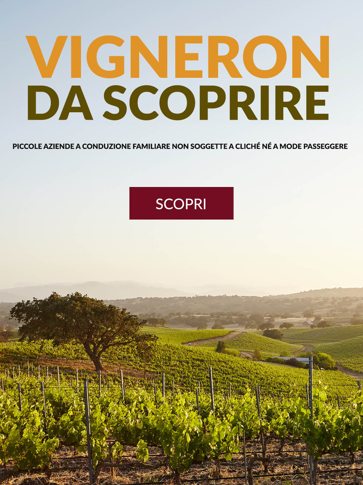 Vignaioli da scoprire